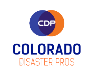 Disaster Cleanup Pros